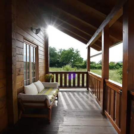 Semesterbostad Family Tree Sibenik *