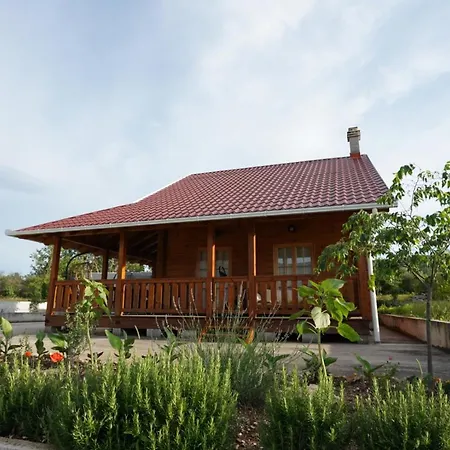 Semesterbostad Family Tree Sibenik