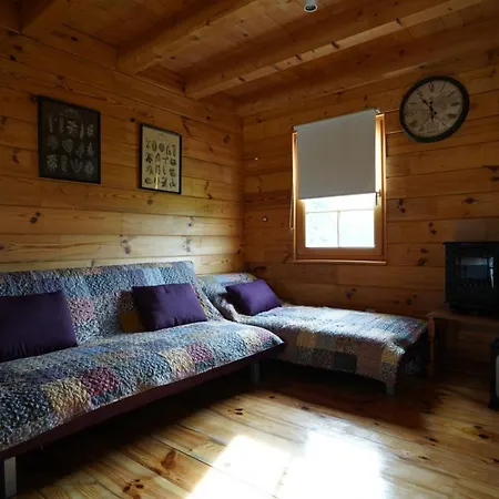 Semesterbostad Family Tree Sibenik *