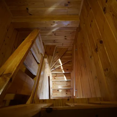 Semesterbostad Family Tree Sibenik